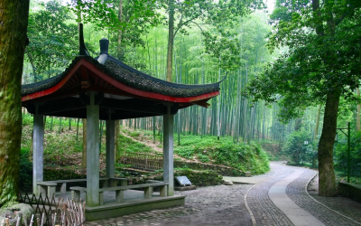 12 CINA