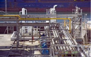 13 PETROLIO