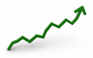 GRAFICO 8