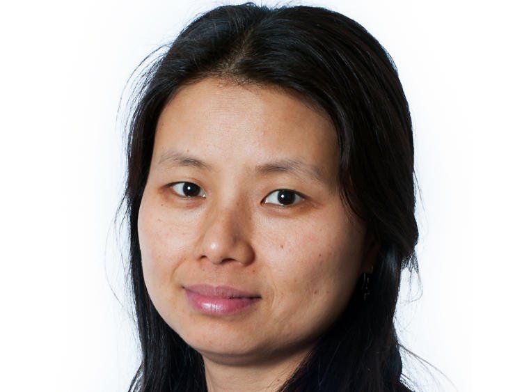 Ngo My-Linh BlueBay Asset Management